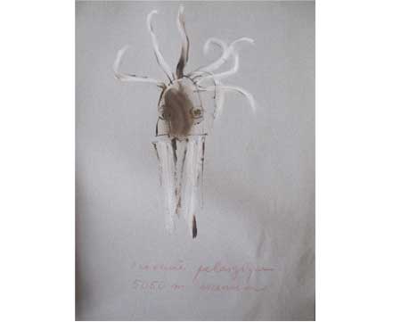 Sans titre dessins