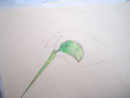 Sans titre dessins