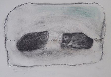 Méditations sibyllines dessins Méditations sibyllines