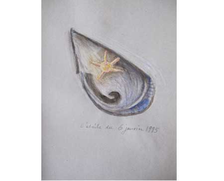 Sans titre dessins